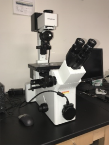 LECO Inverted Microscope GX51